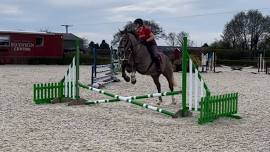 X poles to 70cm clear round jumping