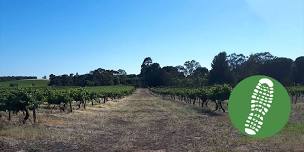 Barossa Run