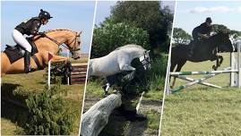 SJ and/or XC In-Hand/Ridden at Southcott, Winkleigh