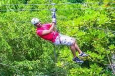 Zipline Canopy Excursion: Explore White River Valley's Rainforest from Ocho Rios