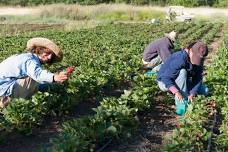 Farm Volunteer Day