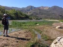 Dynamic landscape of the Santa Clara river nature walk