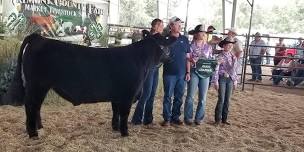 2024 4-H/FFA Market Livestock Sale