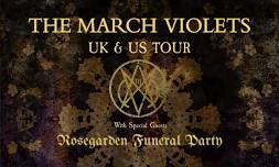 The March Violets