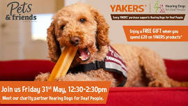 Hearing Dogs Event with Pets & Friends