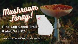 Guided Mushroom Foray | Rydal, GA