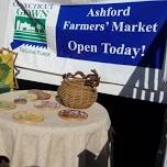 Ashford Farmers Summer Market