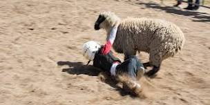 Saturday Park County Fair Mutton Bustin'