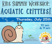 Kids Summer Workshop: Aquatic Critters!