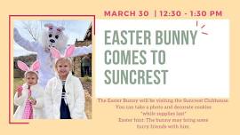 Easter Bunny Comes To SunCrest