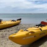 Full Day Kayaking Tour in Coorong National Park