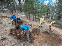 Volunteer Trail Work: Colorado Trail