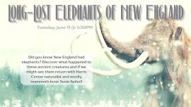 Long-Lost Elephants of New England