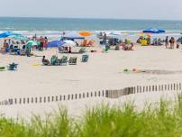 Avalon Beach Day 