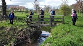 A walk from The Rose & Crown Inn, Burford, Nr Tenbury Wells with Ludlow CAB Walkers