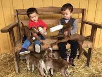 Rocky Oaks Goat Creamery - Kids Camp (35)