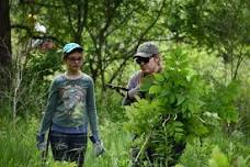 Volunteer Morning: Lake Chaminwood Preserve