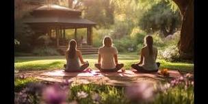 Yoga in The Park