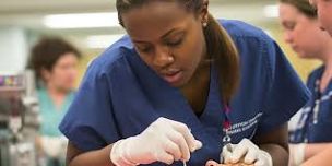 Gwinnett County Georgia Discounted American Heart Association BLS Courses