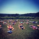 SUNRISE YOGA @ MARI VINEYARDS