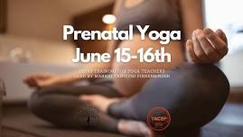 Prenatal Yoga Teacher Training