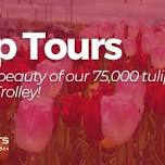 Tulip Tours