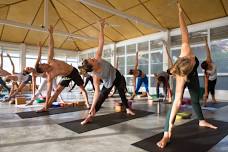 200 Hour Yoga Teacher Training