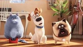 Summer Movies for Kids: Secret Life of Pets