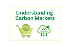 Understanding Carbon Markets