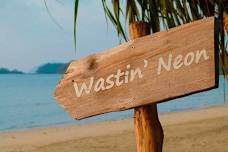 Wastin' Neon returns to Buckeye at the Lake for the Hottest Pie on the lake!!