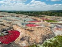 Arabia Mountain Park – Stonecrest, GA – Approx. 6 miles – Moderate