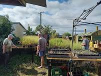 Community Nursery Volunteer Session