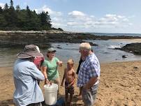 Tide Pooling at Reid State Park  — Kennebec Estuary Land Trust