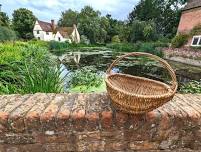 Weave a Foraging Basket