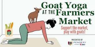 Goat Yoga at the Farmers Market!