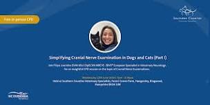 Simplifying Cranial Nerve Examination in Dogs and Cats (Part I)