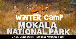 Winter Camp @ Mokala National Park