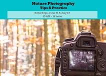 Nature Photography Tips and Practice