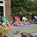 Yoga in the Park B