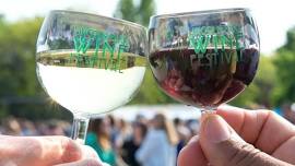 Lincoln Park Wine Festival