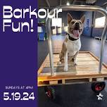 Barkour Fun!