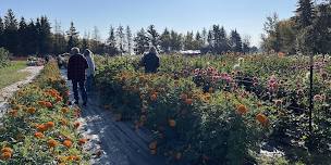 Edmonton Area Flower Farmer Mixer