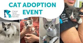 Cat (and Kitten!) Adoption Event — Carver Scott Humane Society