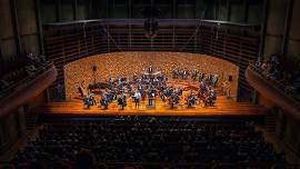 Tasmanian Symphony Orchestra concert screenings