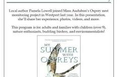 My Summer with Ospreys: A Therapist’s Journey Toward Hope, Community, and Healing Our Planet