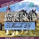 BLS Horse Sale