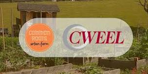 AEECE CWEEL - Volunteering and Network Building