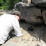 Exploring the newly discovered fossil forests of the North Coast of Devon and Somerset