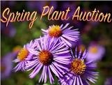 WHS Plant Auction