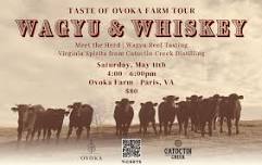 Taste of Ovoka Farm Tour - Wagyu & Whiskey